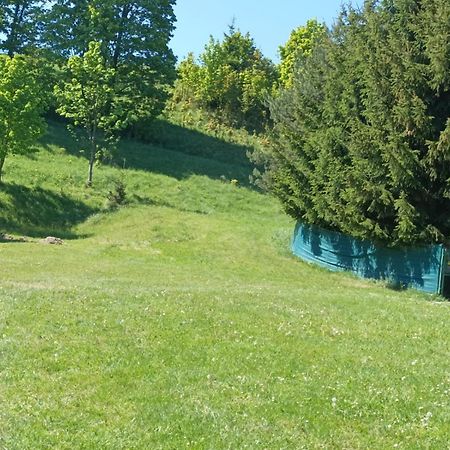 Apartamenty Sowianka Ludwikowice Kłodzkie Esterno foto