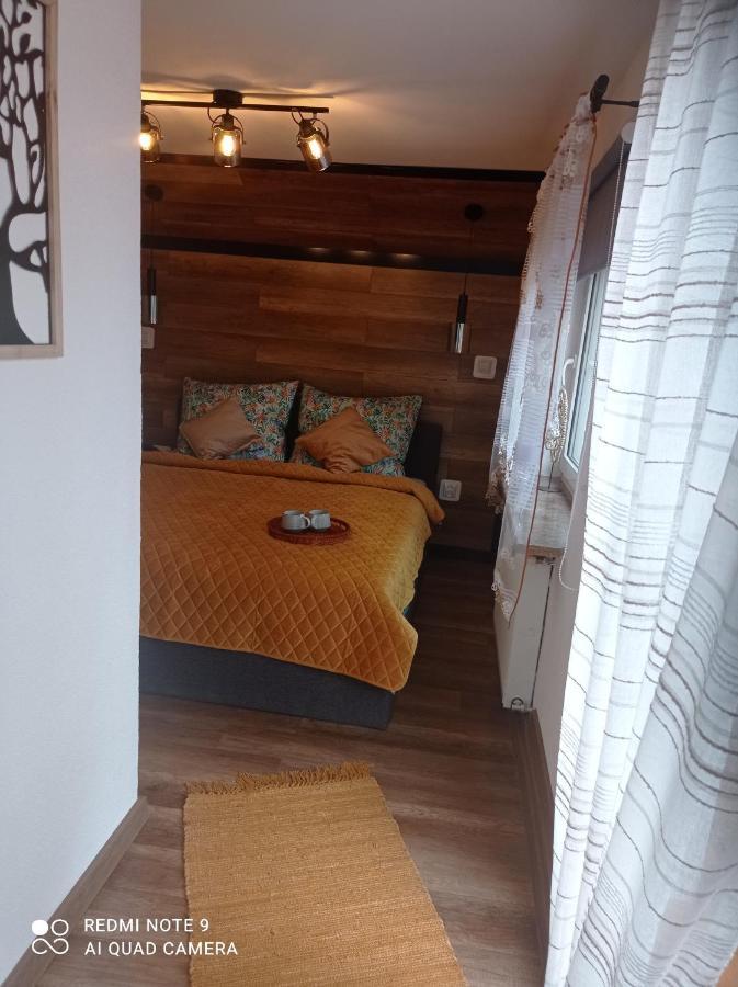Apartamenty Sowianka Ludwikowice Kłodzkie Esterno foto