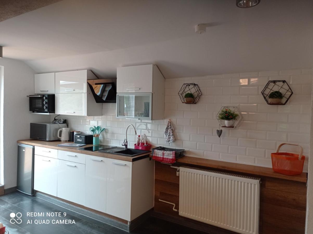 Apartamenty Sowianka Ludwikowice Kłodzkie Esterno foto