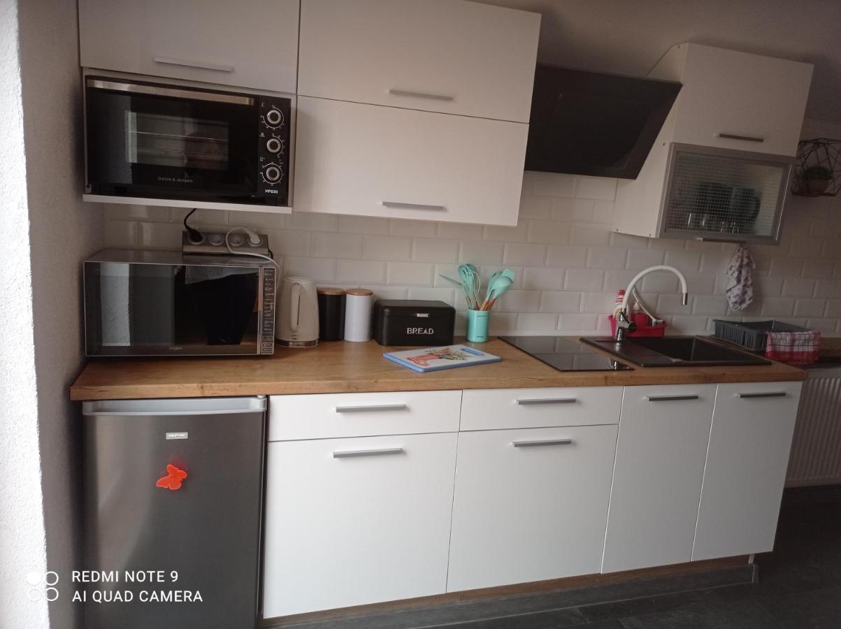 Apartamenty Sowianka Ludwikowice Kłodzkie Esterno foto