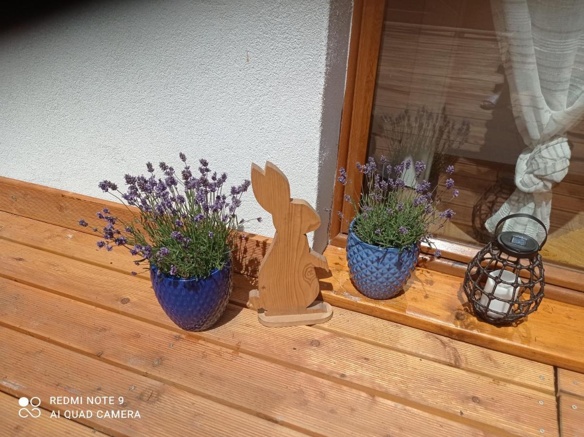 Apartamenty Sowianka Ludwikowice Kłodzkie Esterno foto